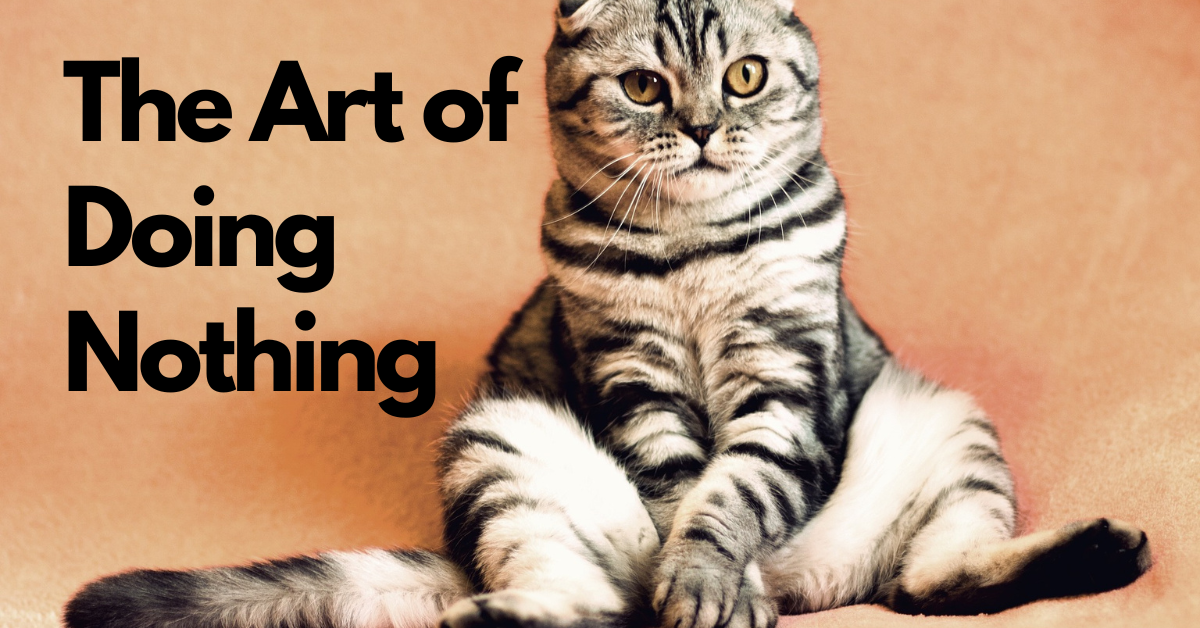 The Art of Doing Nothing: A Hilarious Guide